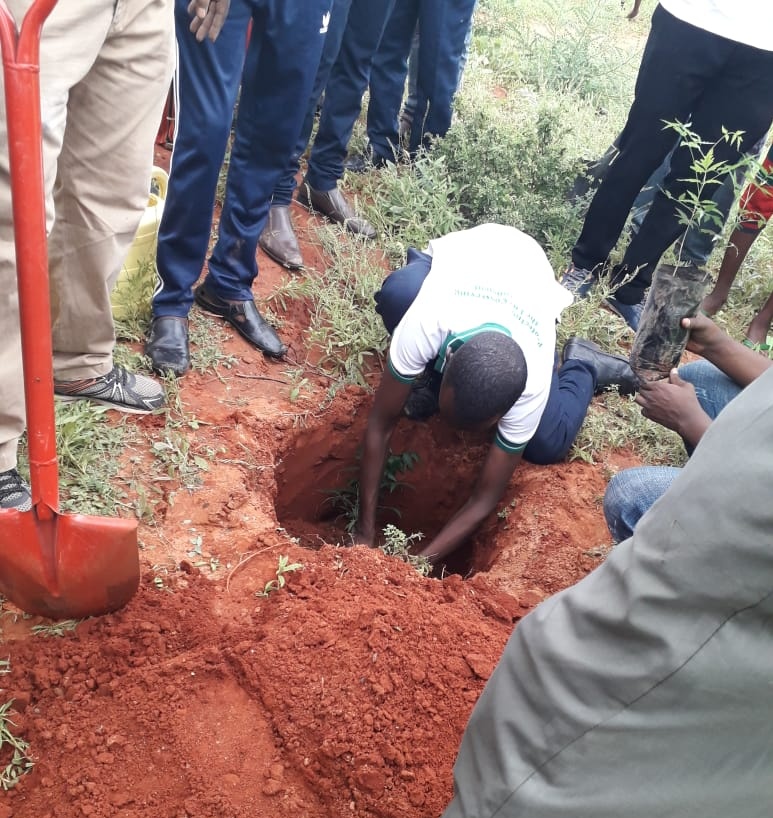 Ke_WISE254's tweet photo. The creation of a thousand forests is in one acorn #SDG13 #VisionEvergreen @UNICEFEducation @UNEP https://t.co/kyXmkz1NJI