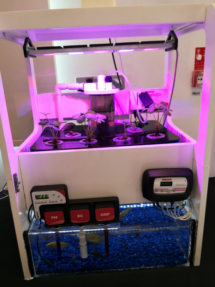 OOREDOOIR's tweet photo. Ooredoo Qatar awards new innovation ideas https://t.co/IMpZE5nL6Q