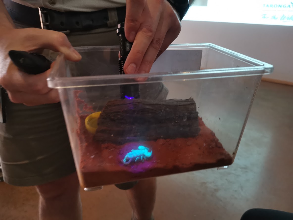 Year 7 enjoying a day at Taronga Zoo learning about Classification!