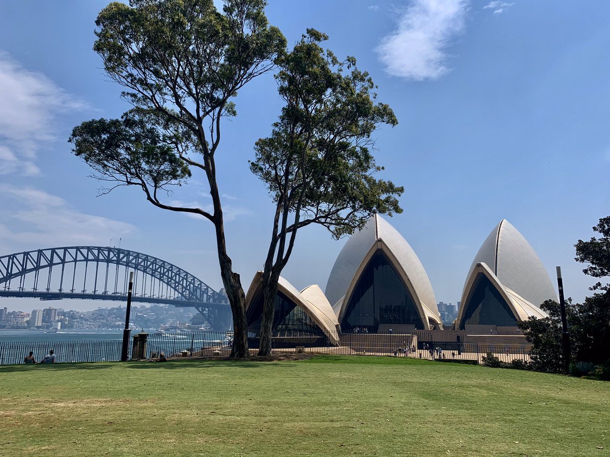 Just another day at the office @RBGSydney, don’t hate me cause my office is nicer than yours.  But let’s see if you suffer from #PlantBlindness. What’s the oldest and most valuable thing (in my opinion) in this picture.