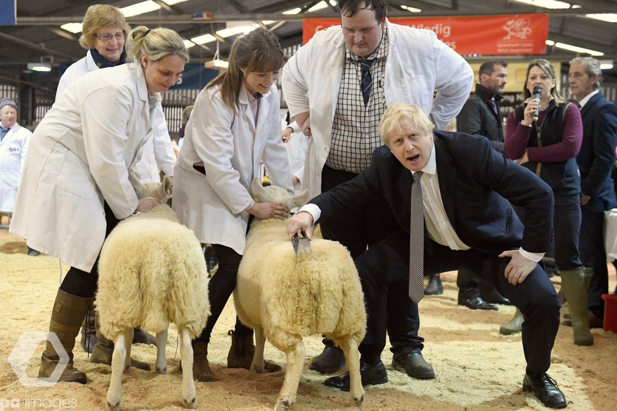 “These smiling sheepfarmers’ livelihoods will be totally Brexitdone. These sheep will be chops in a week but here they are, oblivious to their own forthcoming slaughter. They’ll be Brexitdone too. Let’s Get the whole country Brexitdone!” #GE19