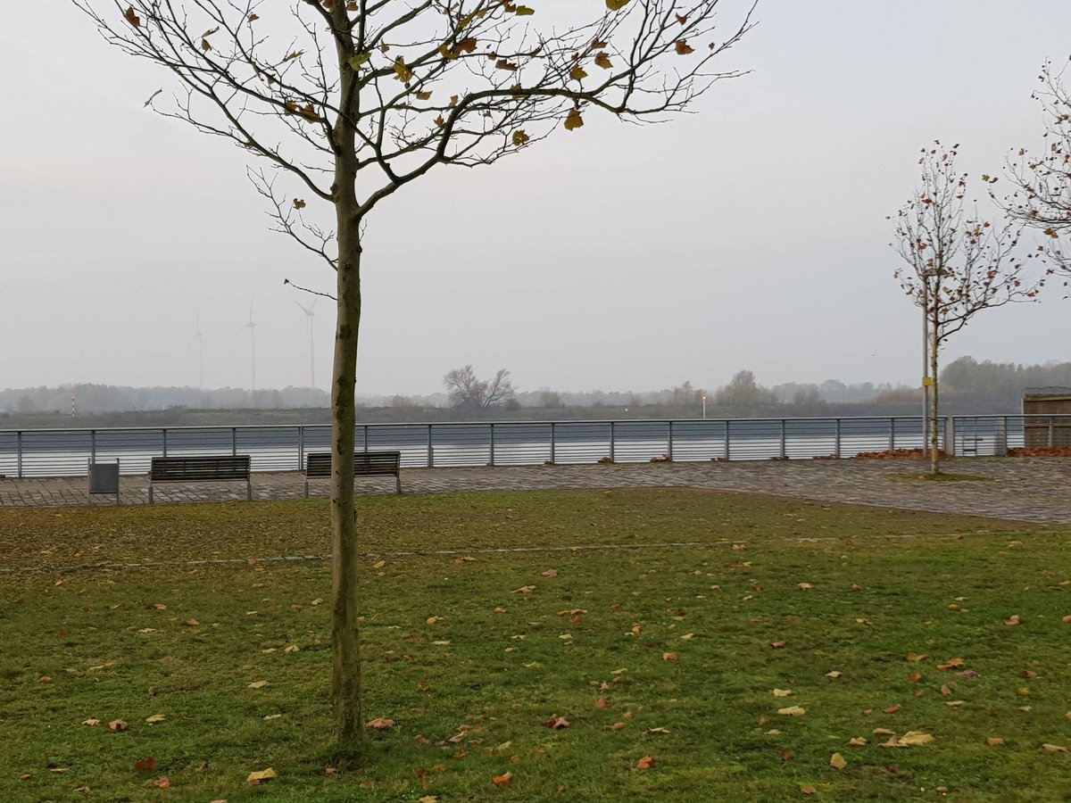 InnsideBremen's tweet photo. So langsam aber sicher erwacht auch die #weser

#innsidebremen #herbst in #bremen https://t.co/wXdaGiZHxR