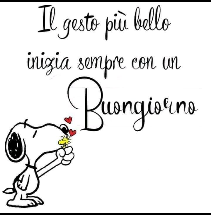 <a href="/veronicamadel/">VERONICA</a> <a href="/DestroEmilio/">Emilio Destro</a> <a href="/marilia1sca/">🌺</a> <a href="/Sam76Sr/">Samantha R. ♐😺🐾</a> <a href="/DanielaCantele/">Daniela Cantele di Cantley</a> <a href="/15466lf/">🌸Doce Carinho🌸</a> <a href="/zanzoon_hanem/">zanzoon Hanem</a> <a href="/PaulaGrigolett1/">Paula G</a> <a href="/deborah4951/">Deborah Bertesi</a> @DollytheParrot <a href="/lillagranata2/">lorena be@mail</a> <a href="/deClaudiaGarcia/">Claudia García✨</a> <a href="/LorenzinaMoro/">Lorenzina Moro</a> <a href="/marylonO/">marylon</a> <a href="/IsoaG/">isoa gambel</a> Buona giornata a voi tutti tutti🍰☕🌷🌺🎈💐🤗🌻♥️😊