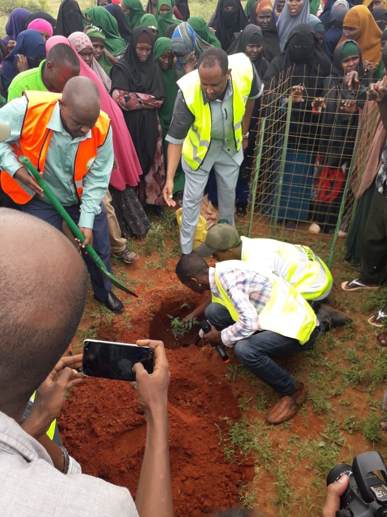 MrOyow's tweet photo. #VisionEverGreen setting the bar for Mandera people. We are responsible for our lives and what surrounds us.
Planting trees and cleaning the enviroment gives us fresh air, cool and a healthy enviroment. @VisionEvergreen is doing just that. https://t.co/Ex2xhKmEsz