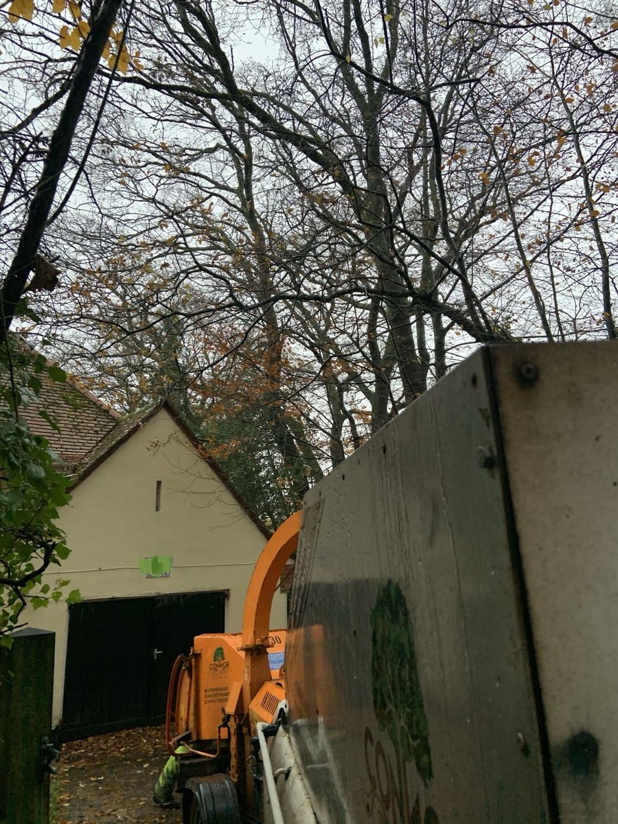 down_connor's tweet photo. Removing over hanging branches from above this property in #eastdevon 

For a free quote please call Connor on 07889856640

Or email on info@treeservicesottery.co.uk

🌲🌳 https://t.co/ilz2FRfRcT