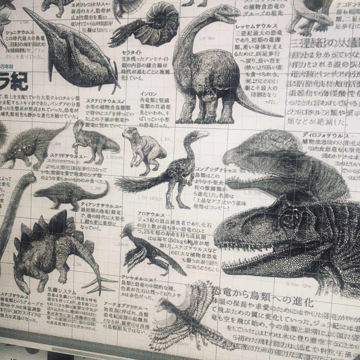 古生物進化図鑑Vol.2 も今回増刷する折いろいろ理由があって(間違ってレイヤー結合保存して)データを作り直しているんだけど、改めて見ると誤字結構あったのね。。。#古生物進化図鑑 #いきもにあ 