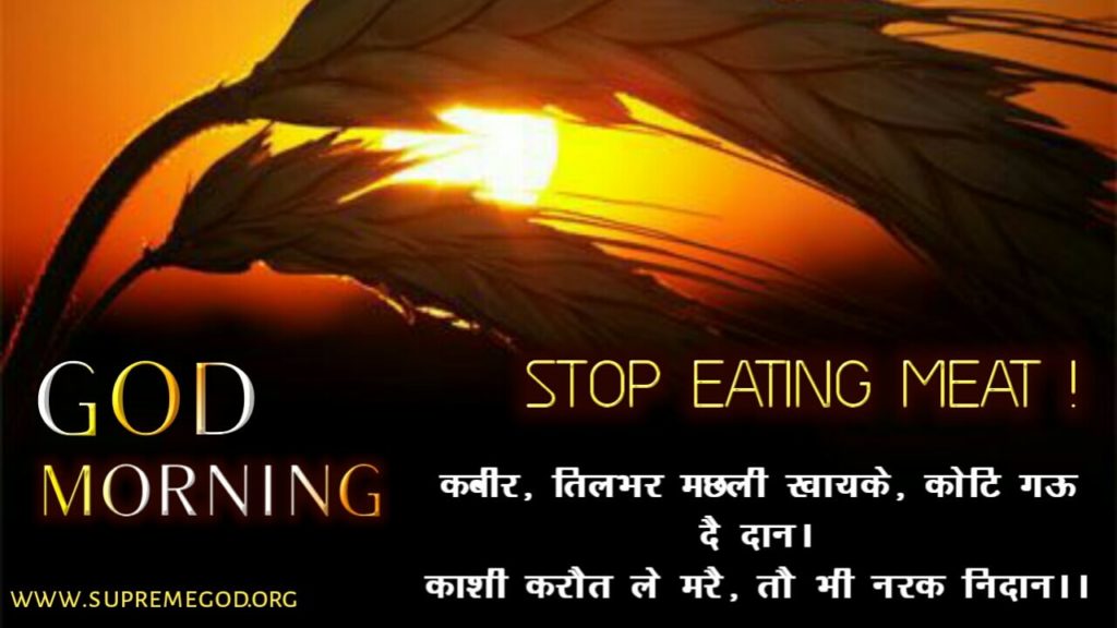 DeepakS58397532's tweet photo. #GodMorning_MeatEaters
मांसाहार का सेवन करना हमारे शरीर के लिए उतना ही नुकसानदायक होता है जितना कि धूम्रपान असर करता है।  इन सब बुरे कर्मो को त्यागनेे के लिए अवश्य देखिये साधना चैंनल रात्रि 7:30 से।
#sanews https://t.co/wELg6ei8Am