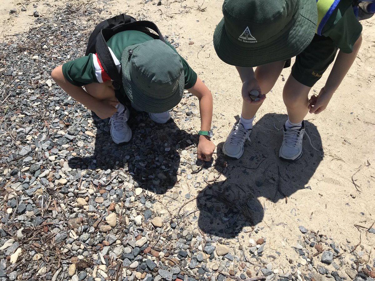 JessKlessens's tweet photo. Loving our @Cicerellos_WA excursion today. We did beach combing and the touch pond with our year 2’s for integrated HASS and science! @HartleyTash @gende75 https://t.co/KXWzRU8q1s