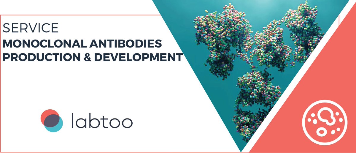📌 Focus on one of our expertise:

Monoclonal antibodies are widely used in medicine and biology, both for diagnosis and therapy.

Find this expertise on Labtoo ! 👇
ow.ly/GE5z50xkHor

<a href="/FsnAntibodies/">Fusion Antibodies</a>