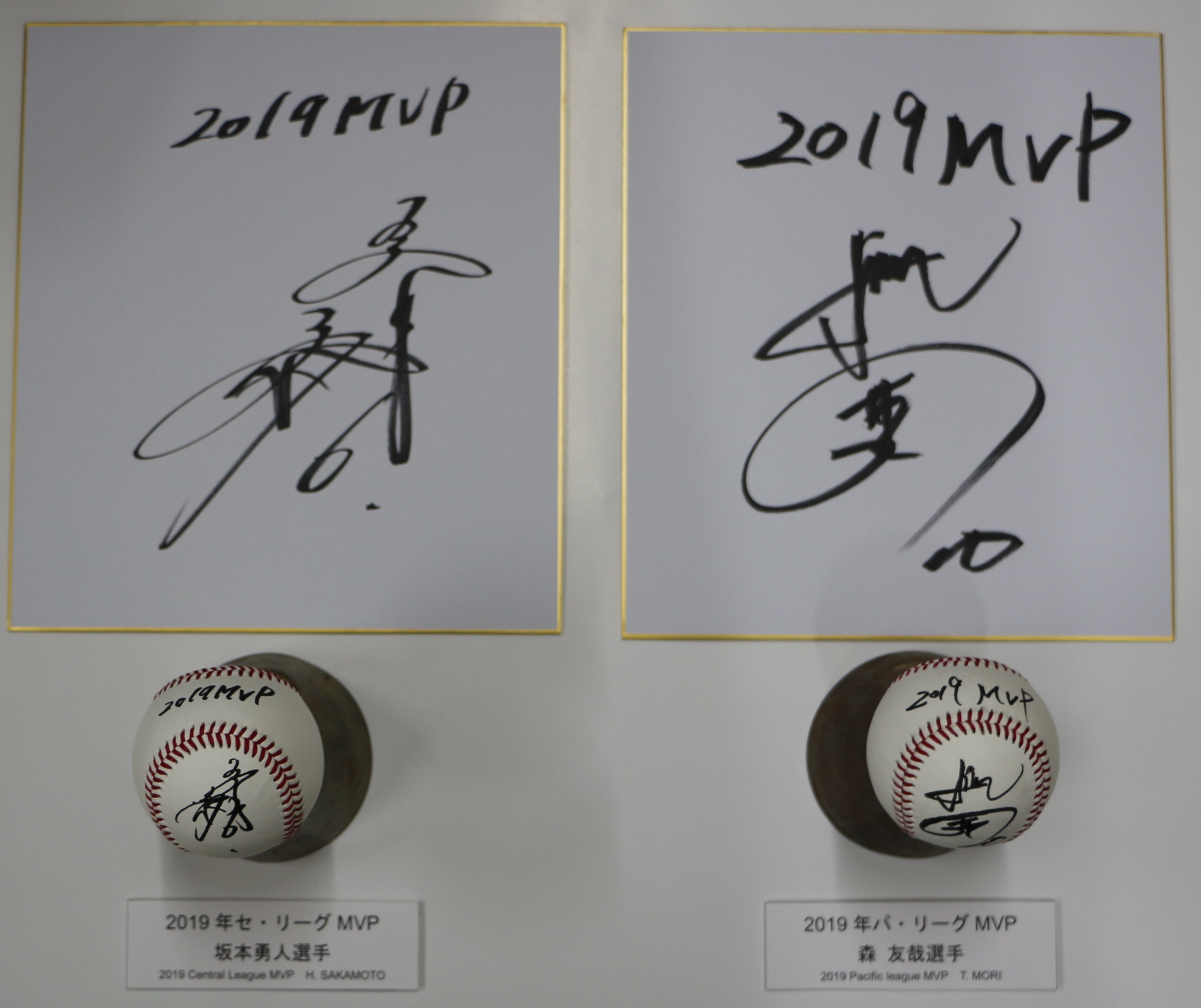 セ・リーグプロ野球 坂本隼人 ジャイアンツ サイン色紙 豪華