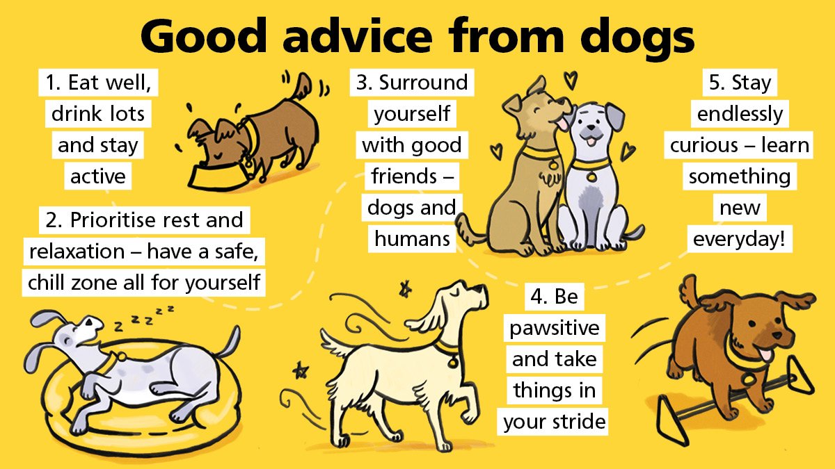 HertsEssexSams's tweet photo. Do you have a pet? They're great to talk to when you're down.

Like @samaritans, they listen and don't judge you. And although at Samaritans we don't offer advice, if dogs did, it might be something like this 👇

#dogsoftwitter https://t.co/SX896ISAHt