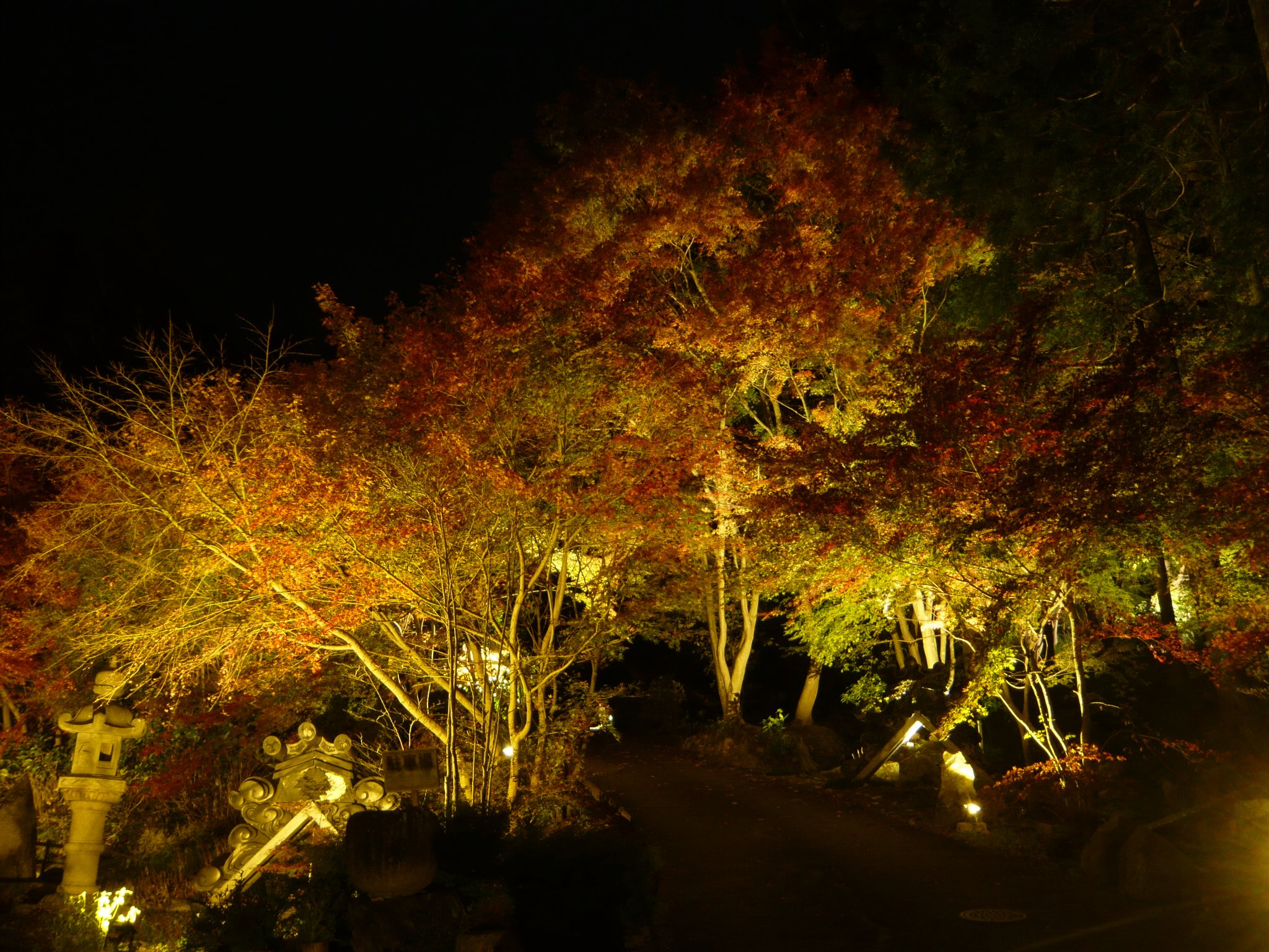 延寿寺 荒神山南麓 彦根市稲里町２５２３ にある禅刹の延寿寺 臨済宗永源寺派 の紅葉ライトアップも今週末 １２月１日 で終了です 今 見頃を迎えています ぜひ ご来山ください Lovehiko 延寿禅寺 延寿寺 彦根市 滋賀県 しがトコ Shiga 寺