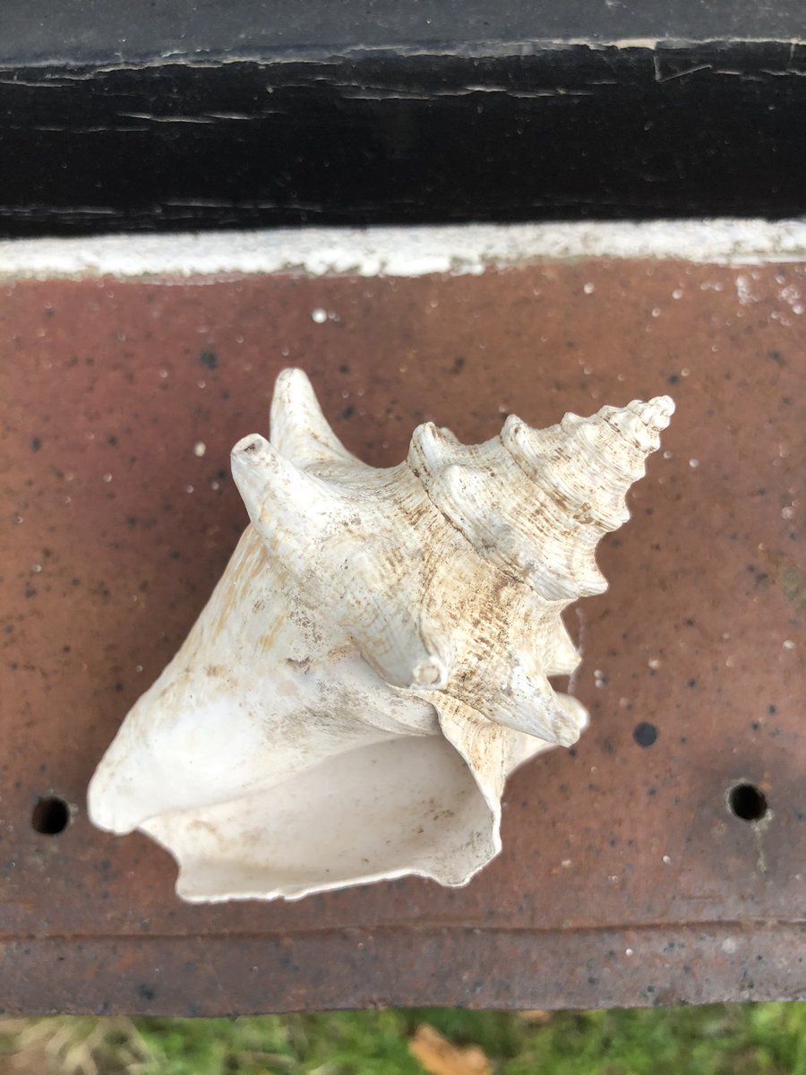 Item 2 from <a href="/NTCroome/">Croome NationalTrust</a> finds processing.