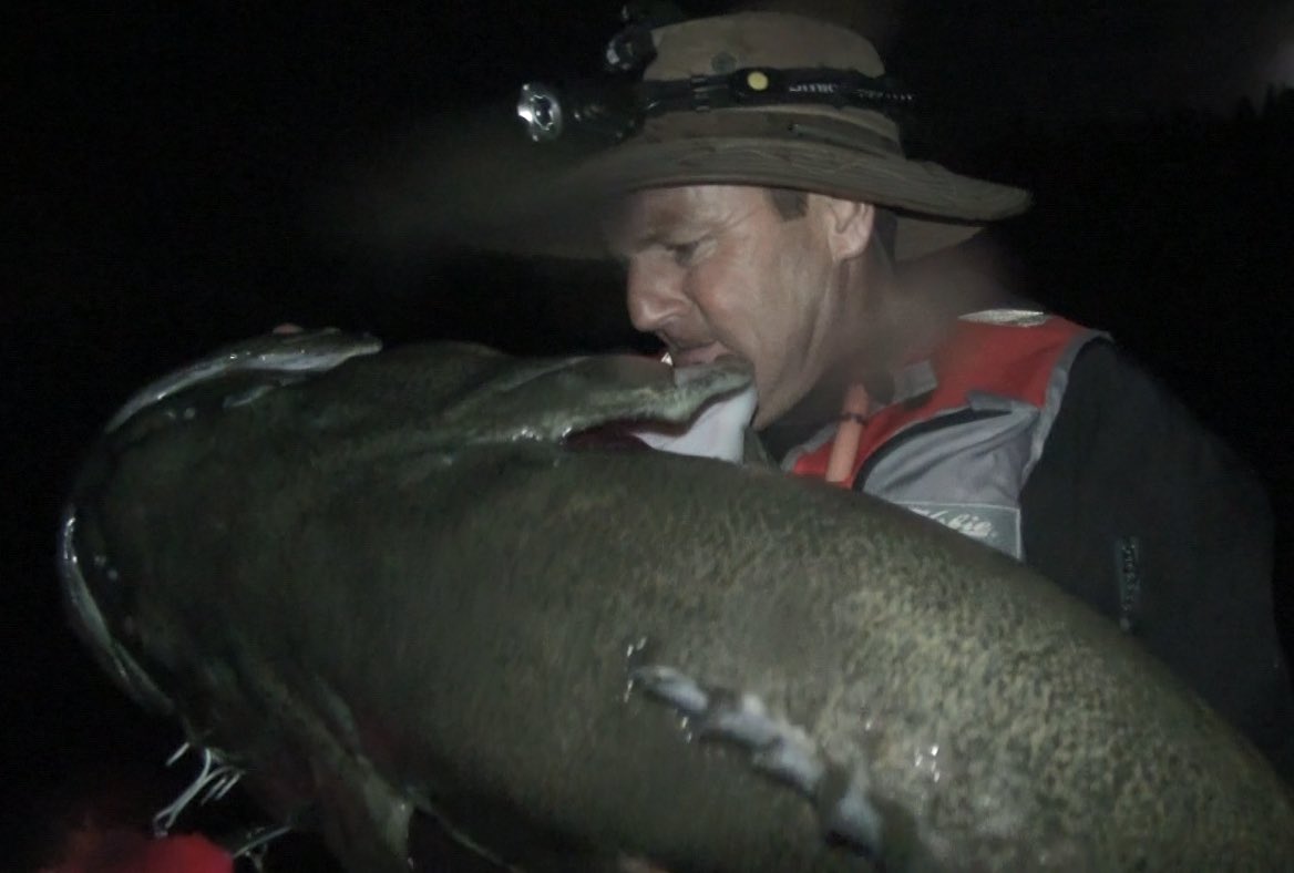 Loads giant cod over 120cm in our new full on native fish film, some much bigger, lots close ups of surface lures getting smashed,  and lures, techniques and spots you’ve never seen before.  Get your copy at totalnative.com (link in bio) or on eBay.