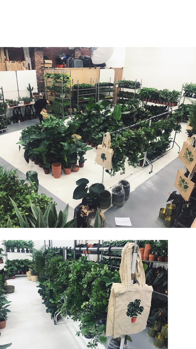 studio10mcr's tweet photo. 🌵Thanks to the guys @BergamotteParis from bring the popup jungle to @studio10mcr. Good luck with the rest of the tour! 
#popup #studio10 #studiohire #eventspace #manchester #studiohiremanchester https://t.co/FFl1n1PrP2