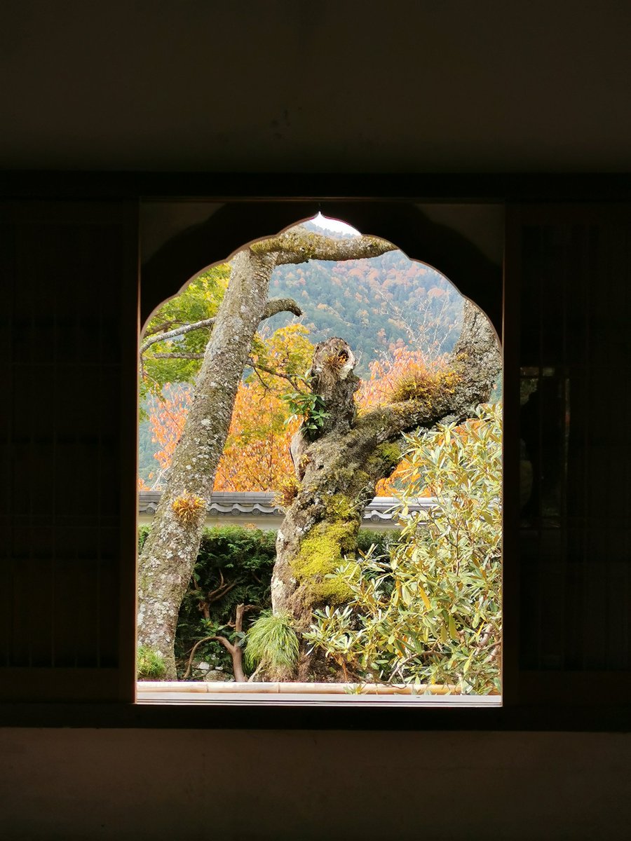 京都〜大原三千院〜🎶🎶っと
境内の庭で歌うオバチャンがいた
つられそうになった
Kyoto - O'Hara - Sanzenin🍁🍁🍁🍁🍁