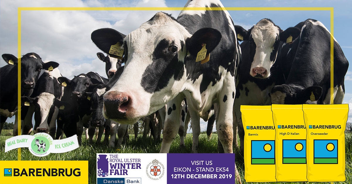 BarenbrugUK's tweet photo. We'll be launching the 2020 BarForage catalogues on the day at @RUASWinterFair and our Grass into Gold partner in NI @BraemarFarm will be on the stand with their artisan #icecream" - Not to be missed! 
Find us here ➡️EIKON Stand: EK54
#WinterFair19 #2020mixtures https://t.co/q43JhK4r0H