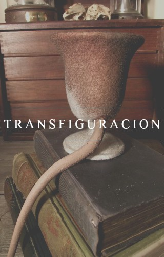 OrdenDelFenix_'s tweet photo. Transformaciones | #TransfoCard
→ SubDirector de Hogwarts.
Archer Baker | @ArcherBaker_ https://t.co/wmn4IN4vwb