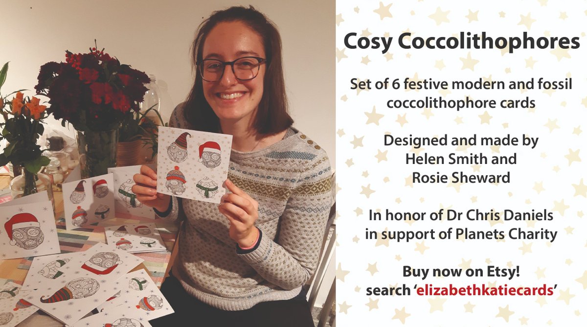 Image of Dr. Rosie Sheward surrounded by christmas cards featuring drawings that she made with Dr. Helen Smith of coccolithophores with festive hats and scarfs.