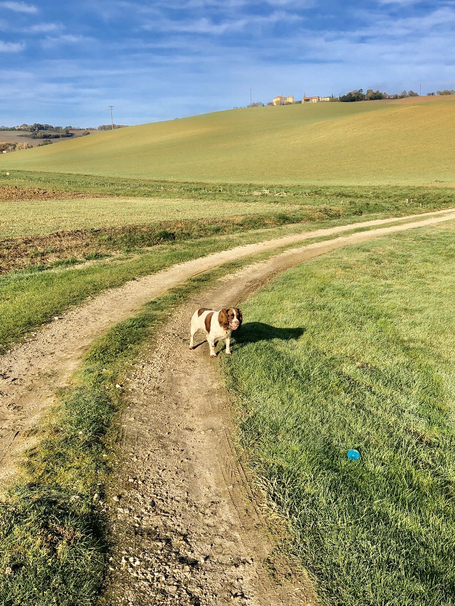 Morning walk around Maison Lamothe. A Gascon autumnal balmy 19° today. 💕.