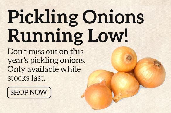 Only a couple of weeks of #PicklingOnion stock left. Don't miss out! - bit.ly/PicklingOnions