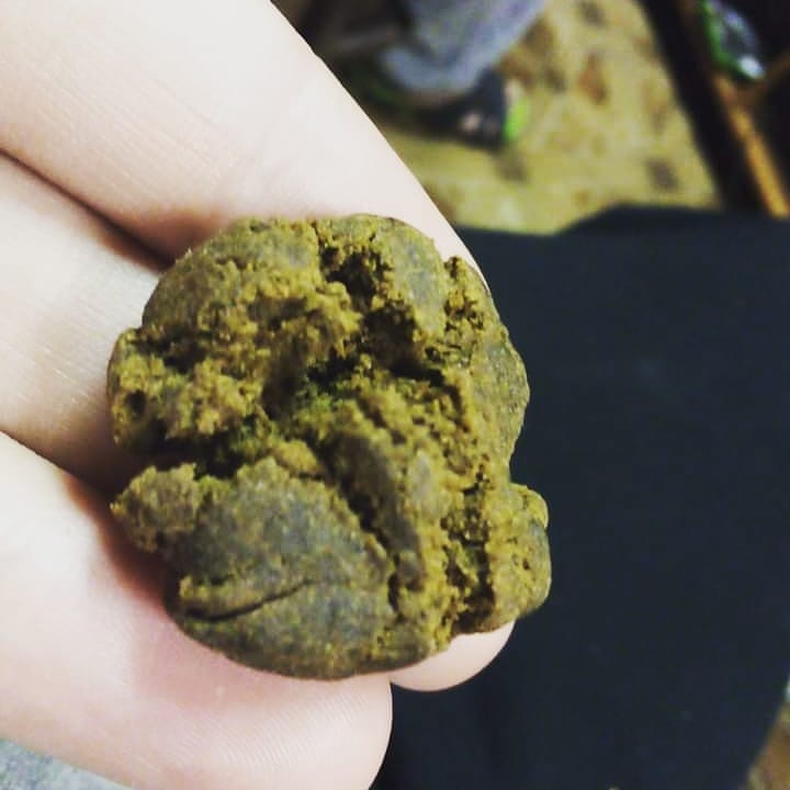 WilsonPlug's tweet image. 🇫🇷que de la bonne
Pour tout vous commende dans tout les localités et toutes les variétés sont dispo 
contacter sur :/+ 33 6 44 66 14 60
Wickr:beuhfr12 
 #weedporn 
#weed 
#420girls 
#420 
#420lesbians 
#weedparis 
#parisweed 
#weedamsterdam 
#weed🌿 
#weedgirls 
#420carpenter