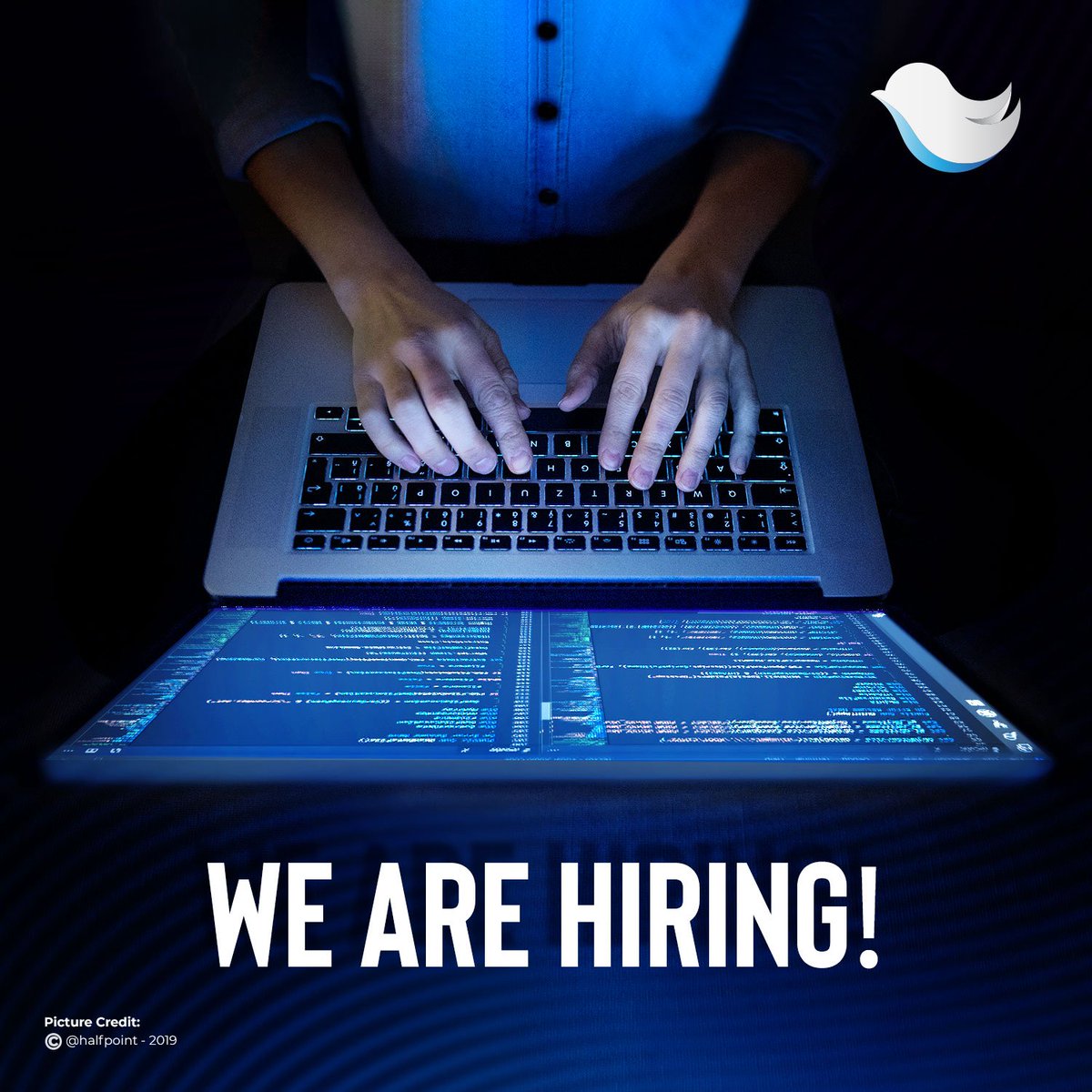 bluethroatmena's tweet photo. We are looking for a talented digital marketing specialist to join our team in Turkey, for more information:

https://t.co/xRSw5pLNsg

#turkey #istanbul #digitalmarketing #recruting #jobs #job #opportunites https://t.co/tvrOLG5QsQ