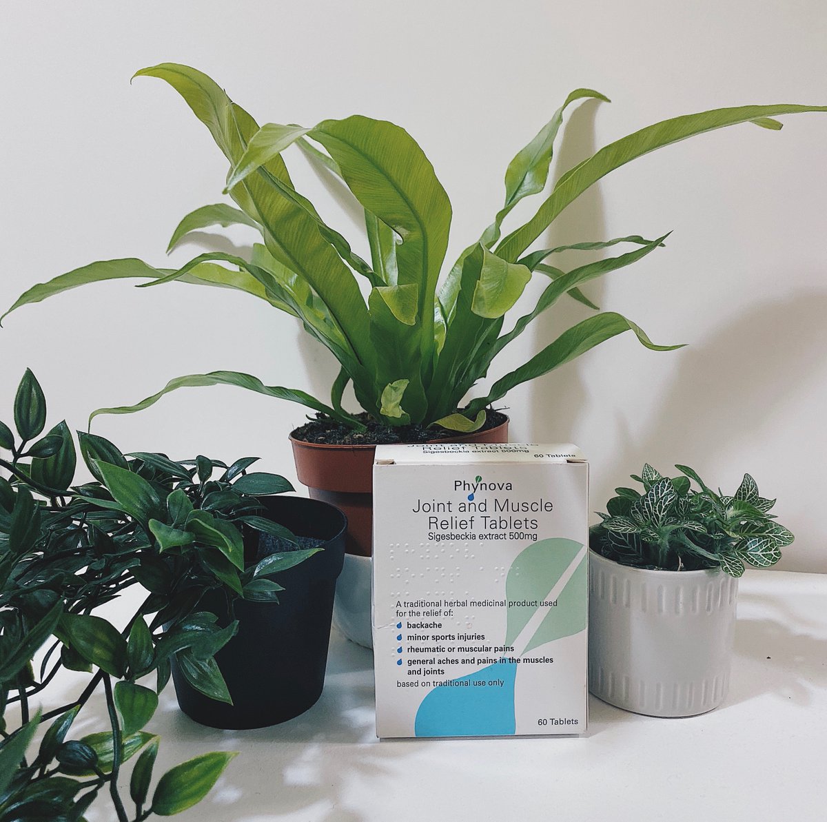 MavenCommsPR's tweet photo. Over the moon to be now be working with pioneering and leading life science company Phynova 🌿🍃 Excited to be a part of improving the nation's health through the growing movement of plant powered remedies 💚 #phynova #phynovatablets #plantpower #pragency https://t.co/6bd8lcTk3s