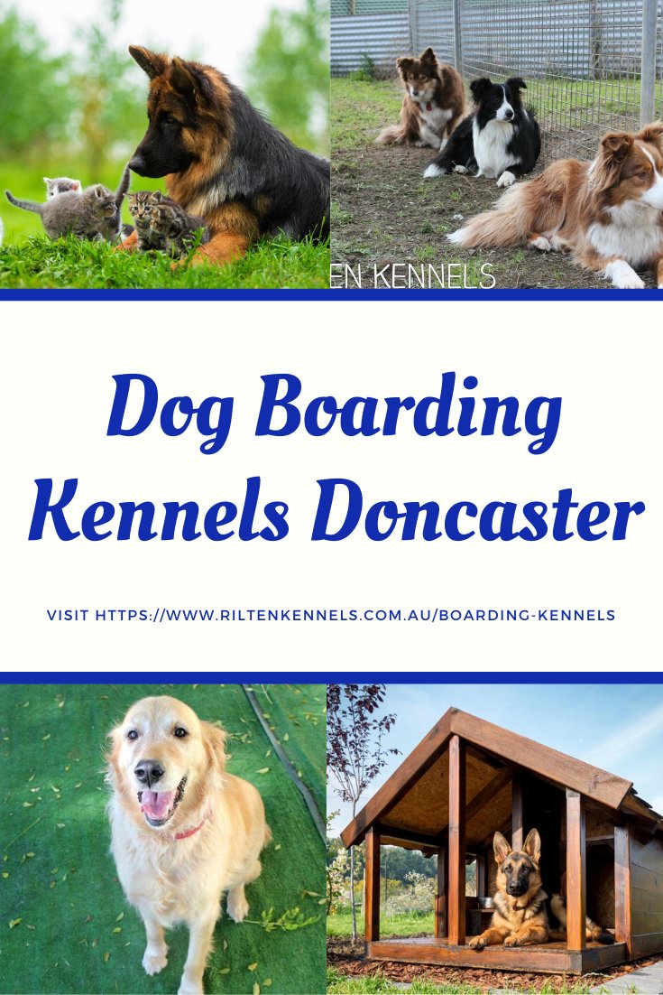 nearest dog kennels