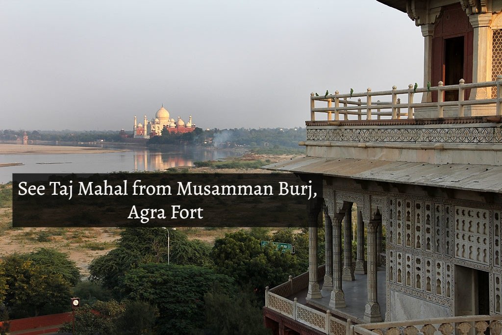 taj_visit's tweet photo. Taj Mahal - A structure of inexplicable beauty
Located 4 km away from #TajMahal, Musamman Burj which is located near Diwan-e-khas in #AgraFort offers mesmerizingly beautiful distant views of Taj. Call us at +91 9999799028 to plan your trip to #VisitTajMahal. #TravelTuesday https://t.co/paOKuSU1Ol