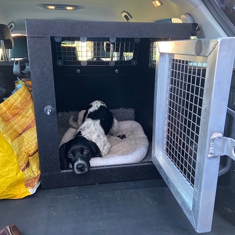 CABboxes's tweet photo. Lily loving her CAB5 box in her Skoda Kodiaq #cabtransitboxes #cabanimaltransitboxes #cab #cab5 #cabbox #cabboxsystem #cabtransitbox #dogbox #cabpickupboxsystem #cabfan #cabdrinker #settingthestandard #cockerspaniel  #cockersofinstagram #workingcocker #shooting #gundogs https://t.co/6DfWqPiuyh