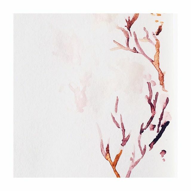 Keeping the creative vibes alive and kicking 🌟 And welcoming the hues of the fall, in all their subdued brightness.
⠀⠀⠀⠀⠀⠀⠀⠀⠀
Shine on, friends ✨

#thedaydreamerdiary #morningstories #makingwinter #myslowandsimple #takeabrush #watercol… ift.tt/2QToJZ8