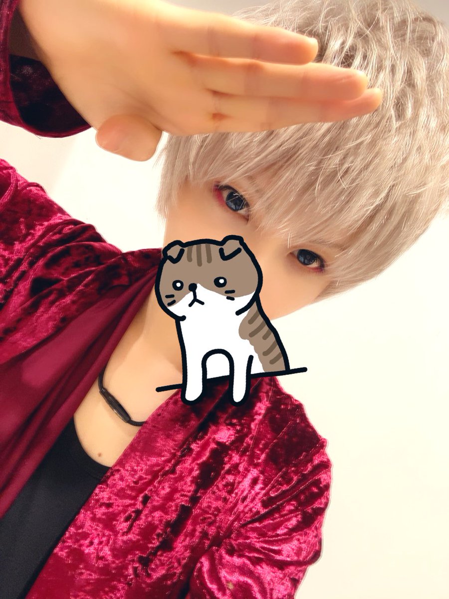 まふまふ 3 25東京ドームワンマン S Tweet ファンミーティング東京