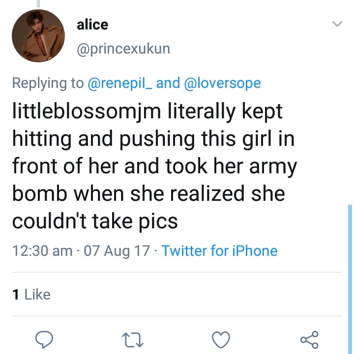 @LittleBlossomJM assaulted ARMYs during the WINGS Tour because he/she couldn't take good photos with the other people blocking their view