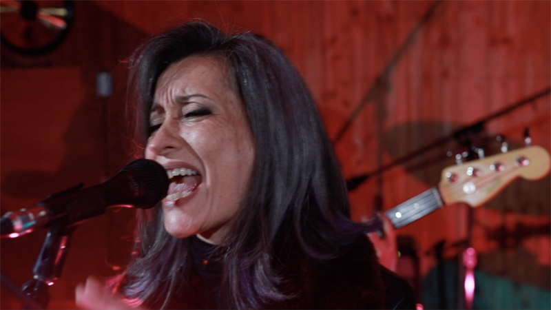 verityseattle's tweet photo. Premier: Watch Thirteen Finches performing “Circle To The Left” on Earwig Sessions Vol. 3 
https://t.co/GdgPDuUfxV
 @NW_Music_Scene
#NWVideoPremier
 @earwigstudio
 @TacomaHOC https://t.co/G5uxZEDlZt