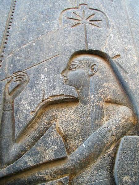 #22: Seshat The Goddess Seshat in Egypt invented writing. She was the goddess of wisdom and knowledge & the star on her head means “she who wears the two horns”. It was considered to be a magic wand, the source of all creative ideas.