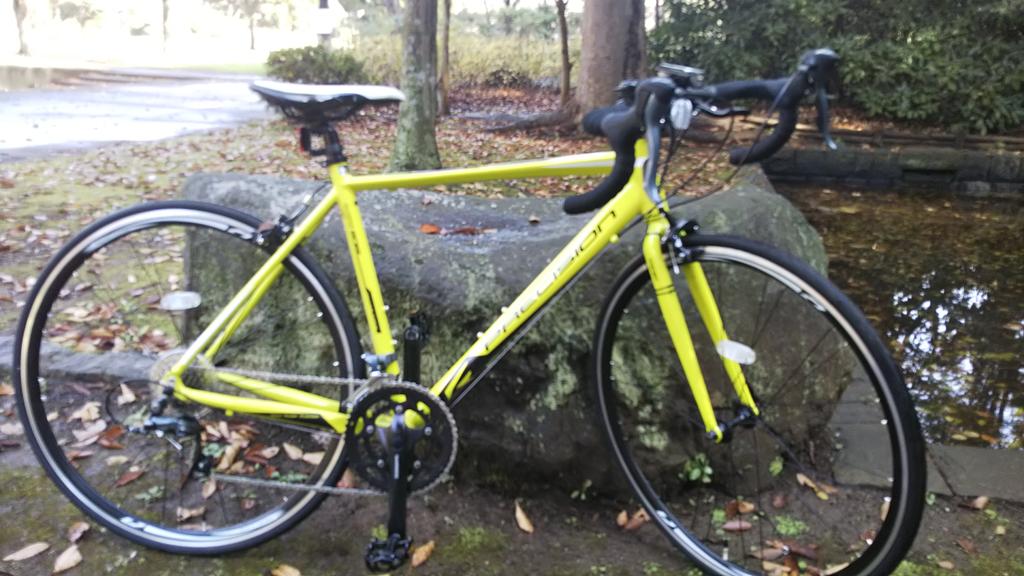 明日久々に遠出する！
愛用のロード貼っておきますね！