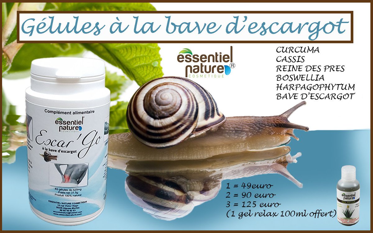 Comment Extraire La Bave Descargot Naturellement