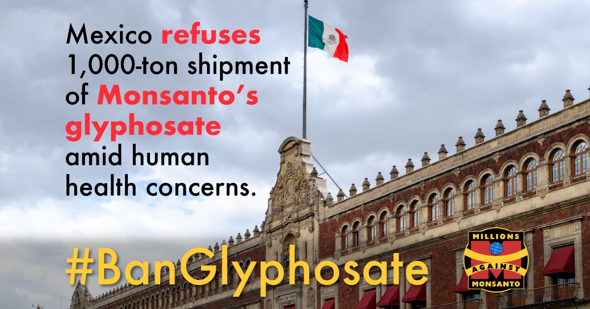 againstmonsanto's tweet photo. Yay, Mexico! 🇲🇽 Way to stand up to Monsanto. 💪 Learn more: https://t.co/khmhknzaRW https://t.co/sEzXmbD3Ml