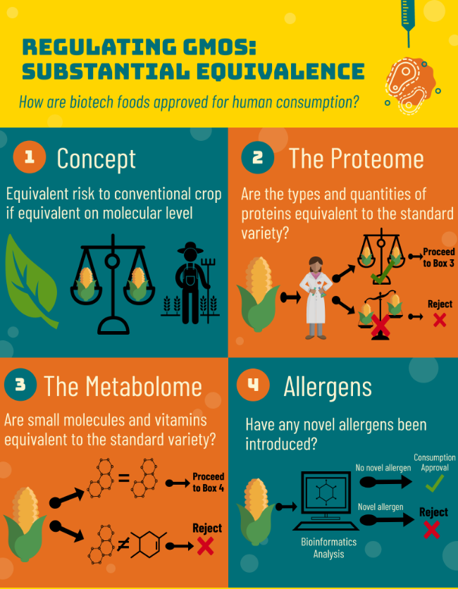 How are #GMO/#GE crops approved for human consumption in the US? 

🌿The idea of substantial equivalence🌿

🧬 If two varieties are equivalent on the molecular level, they pose equivalent risk to consumers

🧬Compare proteins, metabolites, and allergens🌽

#CUSciStory #regulation