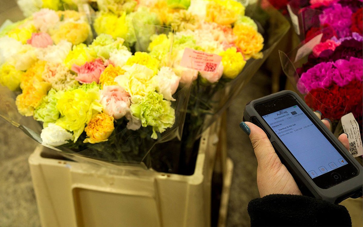 Um seine #Verkaufsprozesse zu optimieren, hat der Schweizer Blumengroßhändler Blumen Galli eine mobile #App für die Erfassung der Vertriebsaufträge eingeführt: bit.ly/2KXJTBn