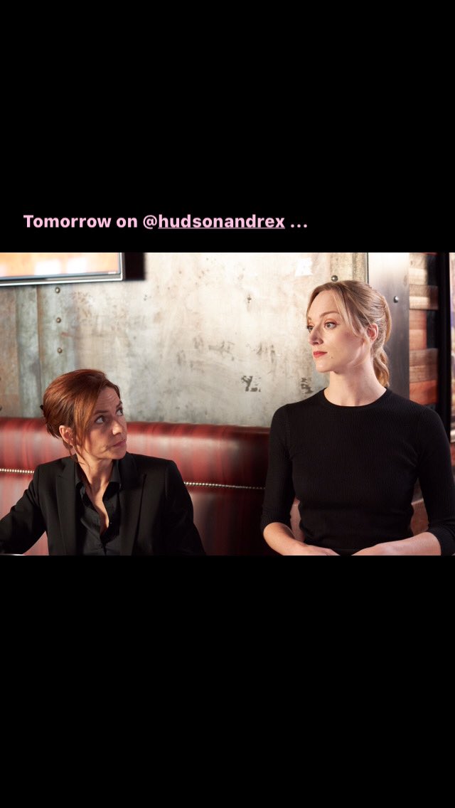 HannahCheesman's tweet photo. IT IS ON. Tonight on @hudsonandrex I mean, @City_tv — WHODUNNIT?! Only the German shepherd can figure it out! #hudsonandrex #sophiedoucette #murther #outspot https://t.co/lGPstRt28J