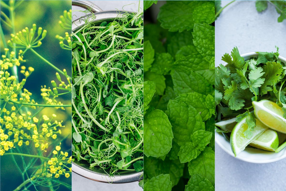 Ecobloom tweet media