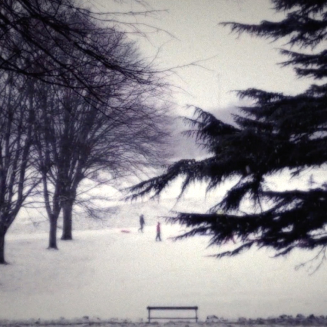 reddeersleeping's tweet photo. Hibernation mode can get quite cosy but at some point we need to re-connect to the outside world. So while the Red Deer is โsleepingโ hereโs a sneak preview from our forthcoming EP โWinterโ. #winter #winterep #treesinwinter #wintersnow #snow #wintermusic https://t.co/hxAgWGAWqv https://t.co/KqAOBMxHiz
