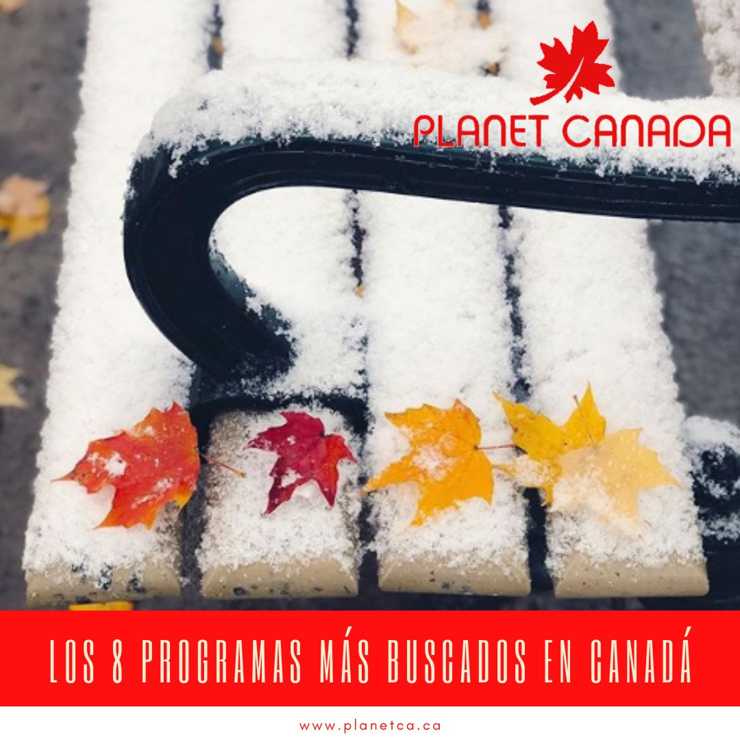 canada_planet's tweet photo. Estudia, Trabaja y Reside en Canadá.

Inscribete en nuestro link 👇👇👇

👉👉👉👉 https://t.co/zIHbxWXlSL

Para mayor información 📲 300 618 6886
📧 Andreah@planetca.ca
💻 https://t.co/coUcr9kE5C

#canada #toronto #estudia #vive #trabaja #job #estudiaencanada #viveenc https://t.co/Oi0zKduAtl