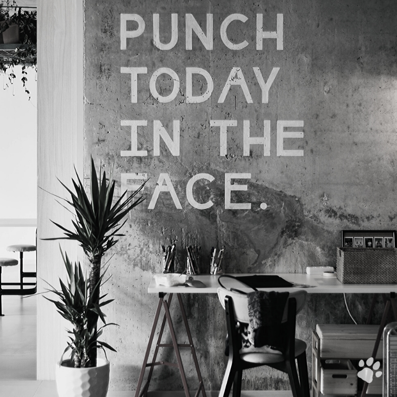 RedDogAgency's tweet photo. Hey, you got this! https://t.co/ij4pULvfG6