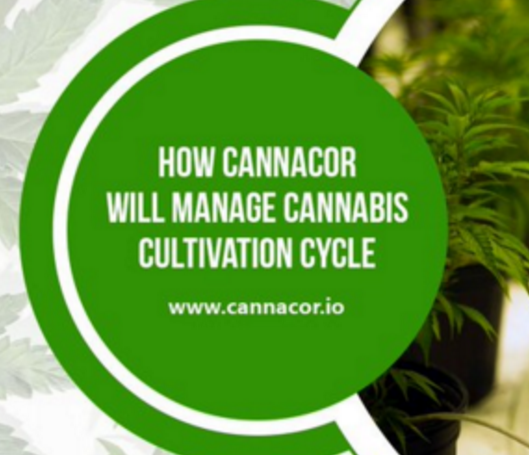 hugovelaskes's tweet photo. #CANNACOR #CANO
@canna_cor
An amazing project that has benefited the community! This is the future for our world and I will be part of this community! We pass and study !!! https://t.co/bxnpwXyjoS