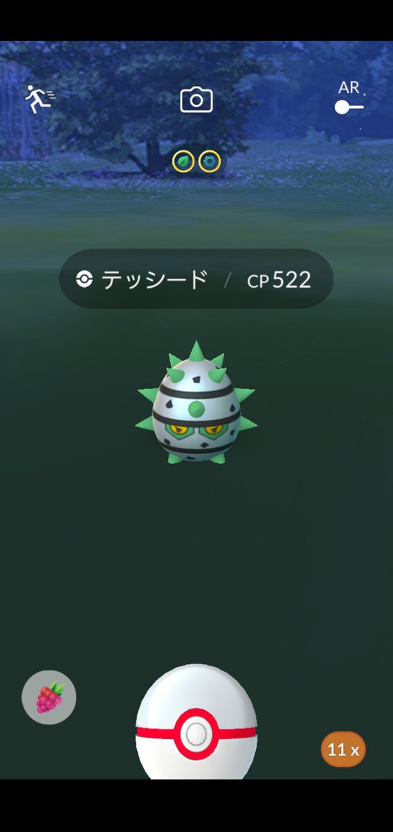 Amazinghisa على تويتر 今日のポケモンgo活動2 レイドはテッシード これでナットレイのための飴が貯まりました 明日から5玉がテラキオンに変わるので5玉に狙いを当分絞っていきます ポケモンgo テッシード