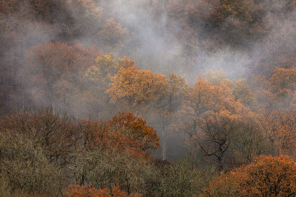 I've just had a very enjoyable weekend in Snowdonia with some mates, <a href="/jellyfire1/">Lee Acaster</a> <a href="/RossFarnham/">Ross Farnham</a> <a href="/GWhittonPhoto/">Greg Whitton 💊</a> @KarlMPhoto @StrangeDan83  trying to capture a bit of Autumnal colour, here's a few trees!