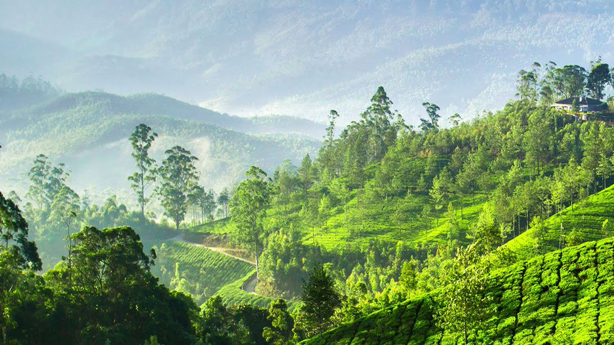 kebackwater's tweet photo. Plan 7 nights and 8 days Best of Kerala tour, and explore beautiful #attractions like #Munnar, #Thekkady, #luxuryhouseboat, and #Kovalambeach, and much more. https://t.co/9om4glL1mO
#keralatourpackages #keralatouristattractions #keralaholiday https://t.co/eANBLBGs5Z